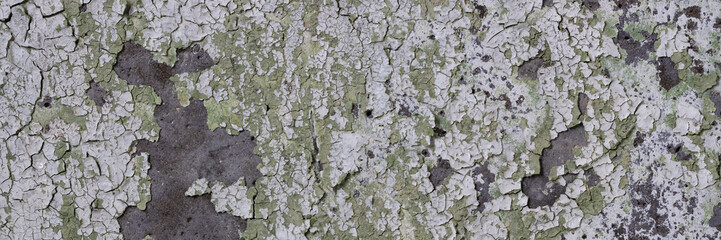 Peeling paint on the wall. Panorama of a concrete wall with old cracked flaking paint. Weathered rough painted surface with patterns of cracks and peeling. Grunge texture for wide panoramic background
