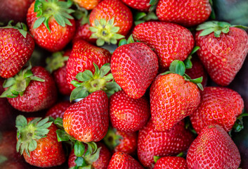 Tasty organic strawberries in Canada