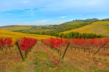 Autumn landscape of the brolio Castle with Chianti vineyards in Tuscany. Winegrowing Radda in Chianti town in Italian countryside. Tuscan autumn red vineyards of Italy, famous for Chianti wine.