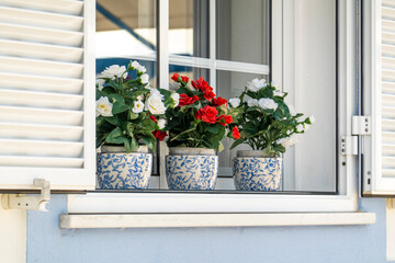 Decorative fake flower vases on a window