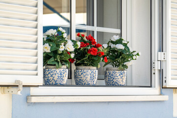 Fototapeta premium Decorative fake flower vases on a window
