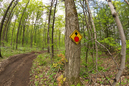 A stop sign Posted on Tree on ATV and dirtbike Multi-Use or Multipurpose Trail in Simcoe County