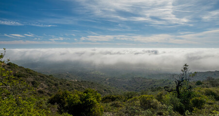 Misty morning fog on the hills