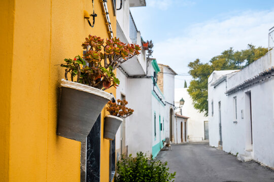 Typical street of the village of Estoi