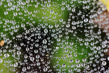 background with spots