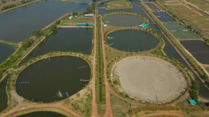 Aerial view from flying drone of Fish pond, fish farm
