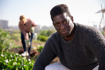 Portrait of a hardworking African american man in the vegetable garden. Close-up portrait..