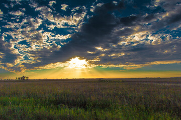 Obraz premium South Florida Ranchland in evening