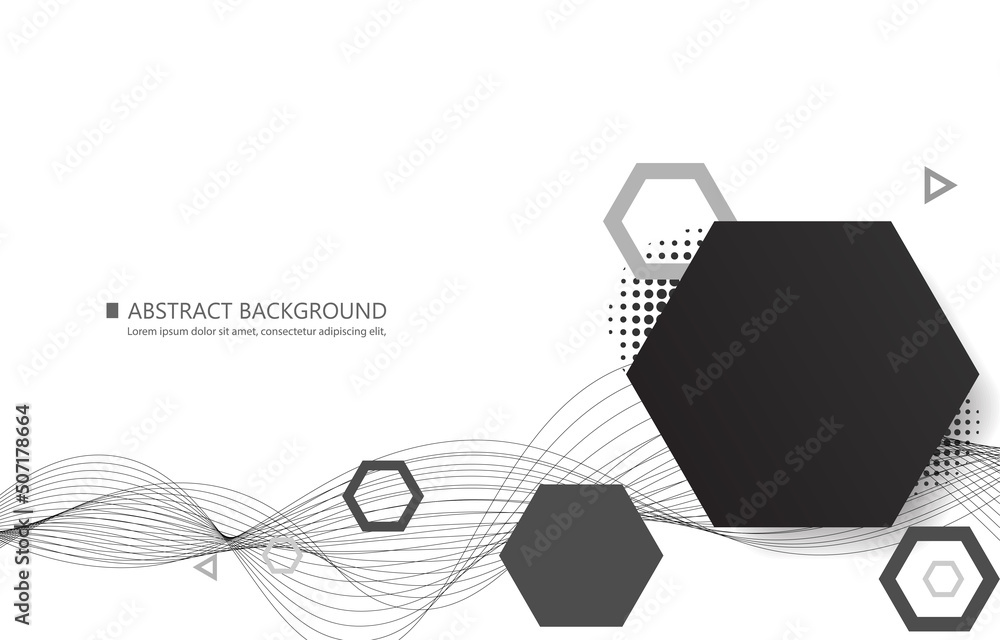 Poster geometric vector hexagon shape.black and white vector background