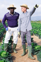 Owner of the farm field tells the hired worker what to do