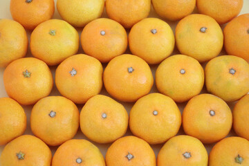 可愛い沢山のミカンのイメージ素材