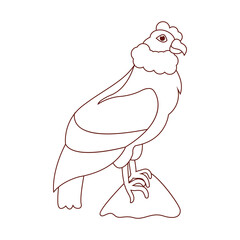 Isolated andean condor Bird icon Vector illustration