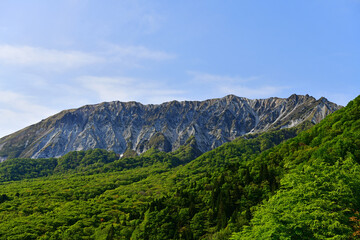 Fototapeta na wymiar 南から見た大山（鳥取県・岡山県） 