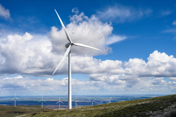 Wind turbines in the shrub-steppe habitat of Central Washington, utility scale, renewable green power generation
