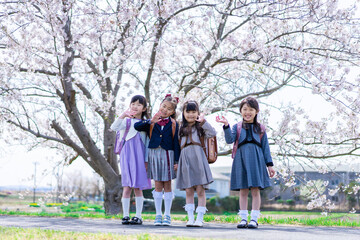 Fototapeta premium 入学式の日にみんなで集まる小学生