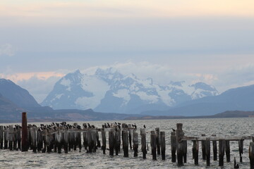 Muelle viejo, Puerto Natales