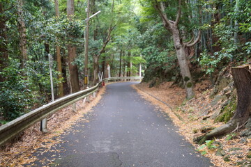 京都の山科の山科聖天への山道