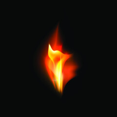 Fire flames isolated on black background.
