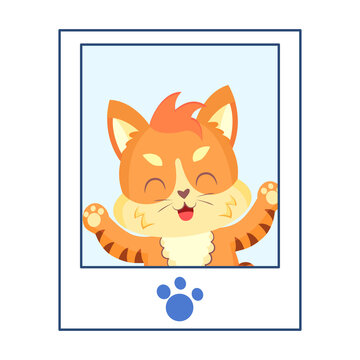 Isolated happy cute cat character on a photography Vector illustration