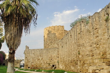 Palm tree in front of the medieval stone fortifications on the island of Rhodes, Greece