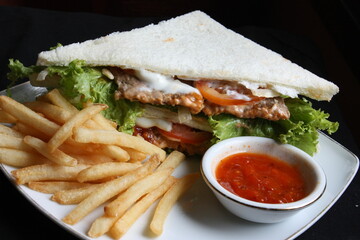 Triangular sandwiches. With stuffed burger meat, lettuce, tomato pieces, onion mayonnaise. Served on a flat plate with added fries and hot sauce and tomatoes. topview.