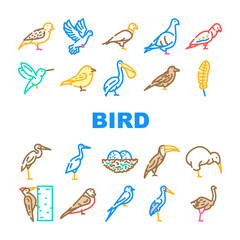 Bird Flying And Eggs In Nest Icons Set Vector. Toucan And Eagle, Crane And Pelican, Sparrow And Stork Flight Bird. Hummingbird And Woodpecker Wildlife In Nature Color Illustrations