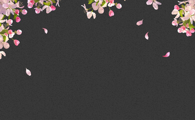 Spring Blossom Background - 507194644