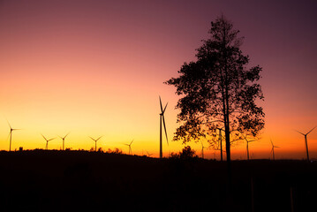 Obraz premium Wind turbines power plant at sunset are alternative electricity, the concept of sustainable resources. Green energy concept to reduce global warming and climate change and pollution