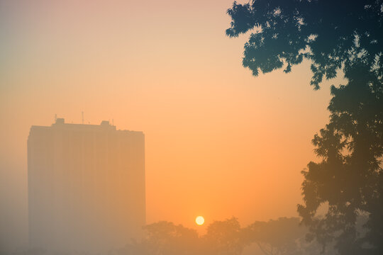 Nice image of sunrise at Kolkata maidan in a foggy winter morning. Sunrises at the horizon with cityscrappers and a big tree in foreground.
