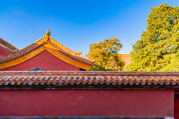 The Forbidden City in Autumn