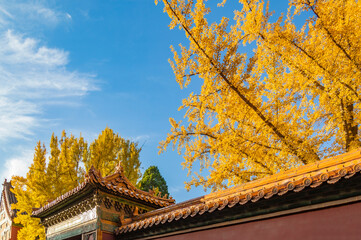 The Forbidden City in Autumn