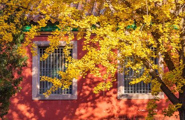 The Forbidden City in Autumn
