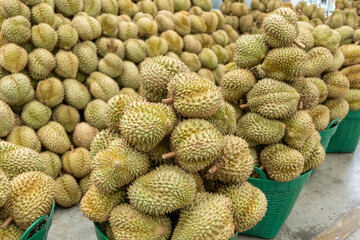 Big fruit market, Durian king of fruit.