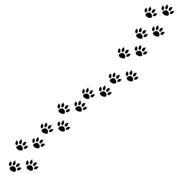 Paw foot print vector illustration. Paw trail isolated on white background. Silhouette of animal paths. Dog or cat paws print walk.
