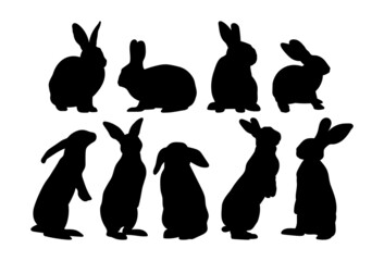 Easter bunny, hare and rabbit. Template for plotter lazer cutting and print.