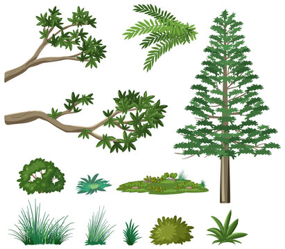 Set of nature forest elements