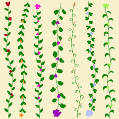 seamless separator abstract floral background pattern 