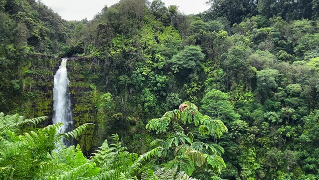 Huge 400ft waterfall in Akaka Falls State Park, Hawaii, beautiful lush green nature mountains