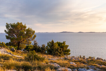 Amazing seasceape with islands and vegetaion