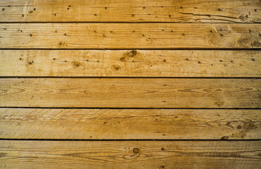 Fototapeta premium Fresh color flat wood background with dots for wallpaper and product showcase.