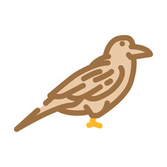 raven bird color icon vector. raven bird sign. isolated symbol illustration