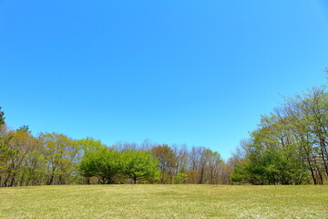 青空と緑の丘