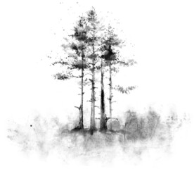 Forest landscape. Pines and firs in black ink. Chinese sumi-e painting.