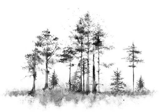 Dark forest taiga illustration. Pines, ate gloomy trees. Atmospheric illustration.