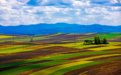 Landscape with many agricultural lands cultivated in the field