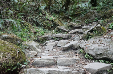 Rocky trail steps with natural landscape of green mountain view- Annapurna Himalayan range, Nepal