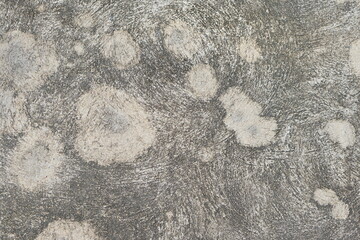 Background pattern cement wall.background texture.Old Concrete wall In black and white color.