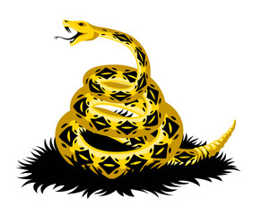 libertarian rattlesnake viper serpent yellow animal - 507207827