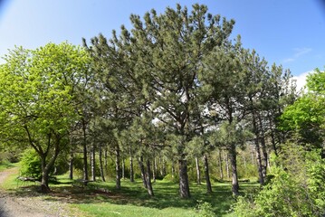 Landscape of Georgia