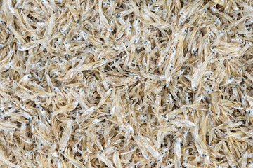 top view of dried small fish